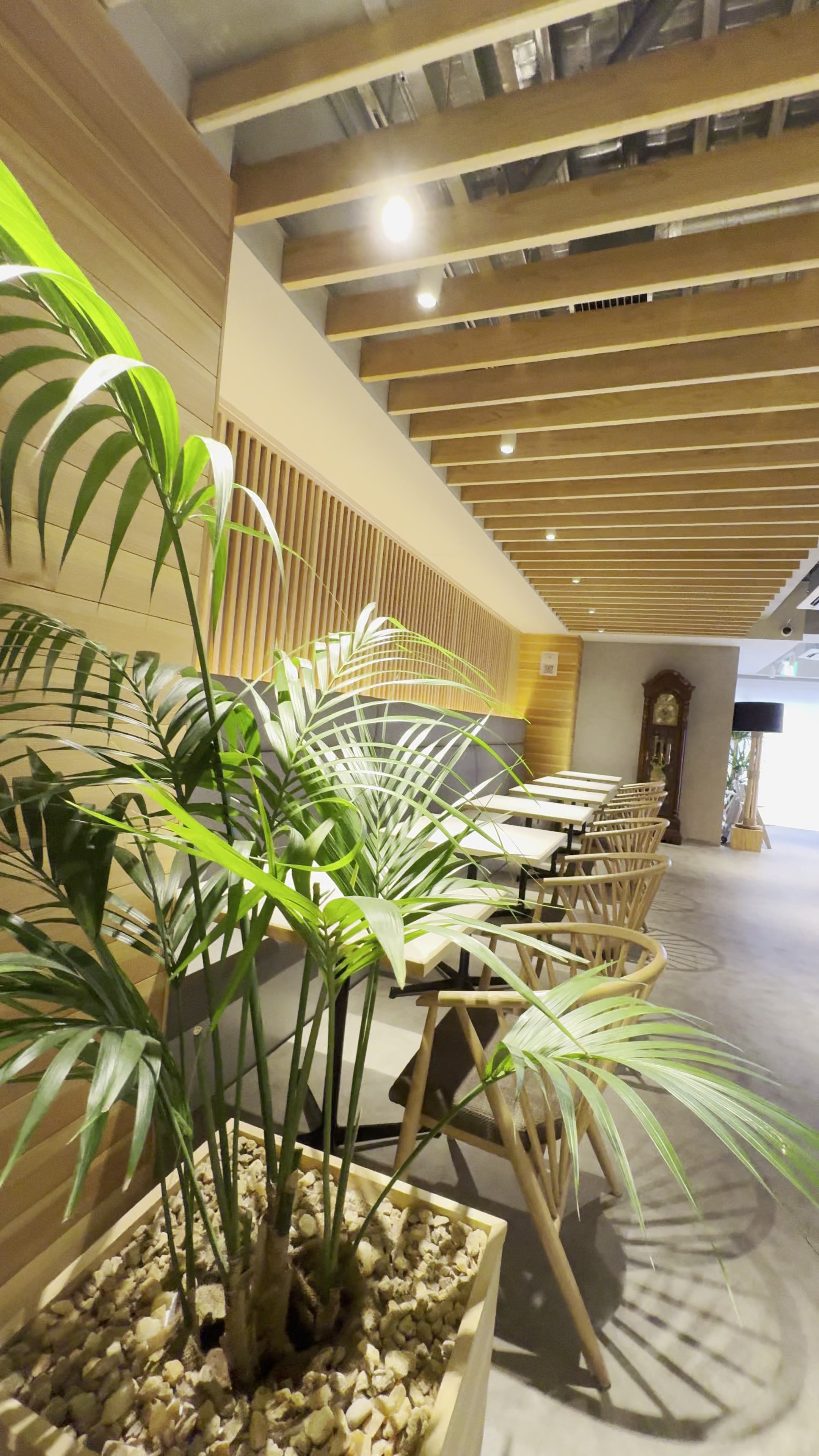 お子様連れも安心